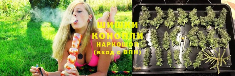 Конопля SATIVA & INDICA  Кирсанов 